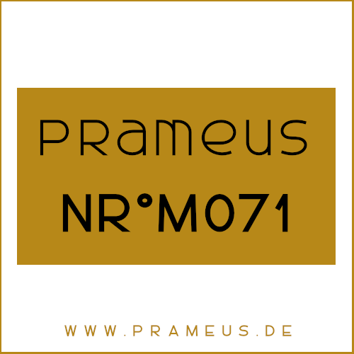 Nr°M071 Inspiriert von: Prada - Luna Rossa Carbon homme