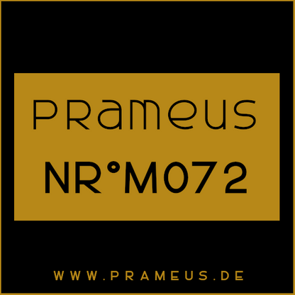 Nr°M072 Inspiriert von: Prada - Amber Pour Homme