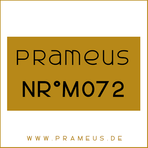 Nr°M072 Inspiriert von: Prada - Amber Pour Homme