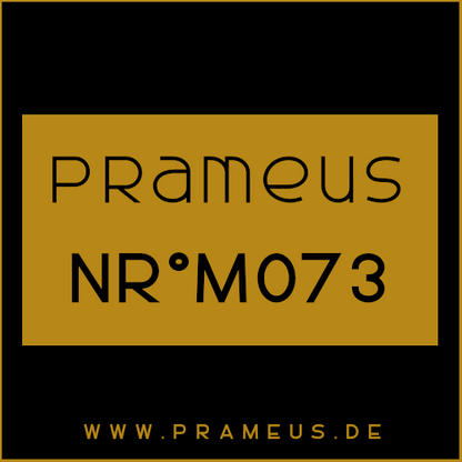 Nr°M073 Inspiriert von: Prada - L'Homme