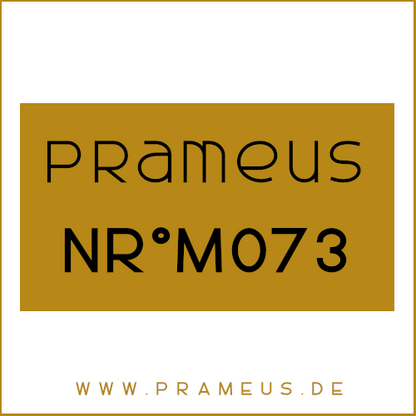 Nr°M073 Inspiriert von: Prada - L'Homme