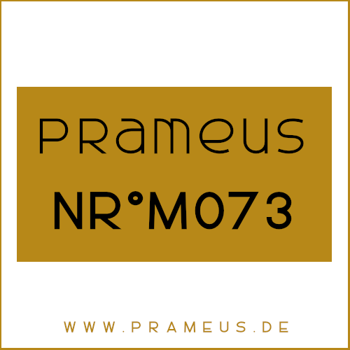Nr°M073 Inspiriert von: Prada - L'Homme