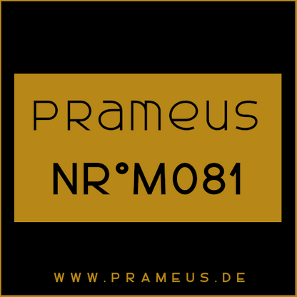 Nr°M081 Inspiriert von: Nasomatto - Fantomas