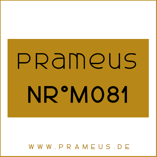 Nr°M081 Inspiriert von: Nasomatto - Fantomas