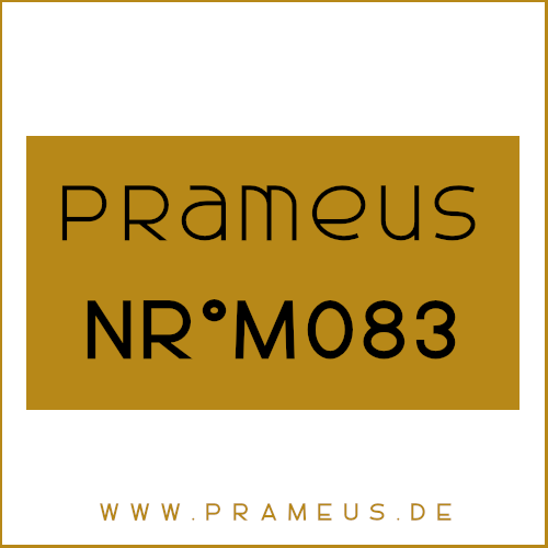 Nr°M083 Inspiriert von: Ralph Lauren - Purple Label