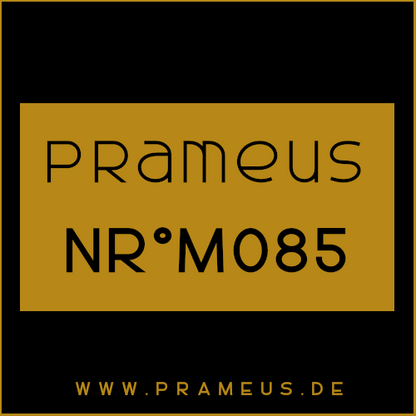 Nr°M085 Inspiriert von: Parfums De Marly - Pegasus