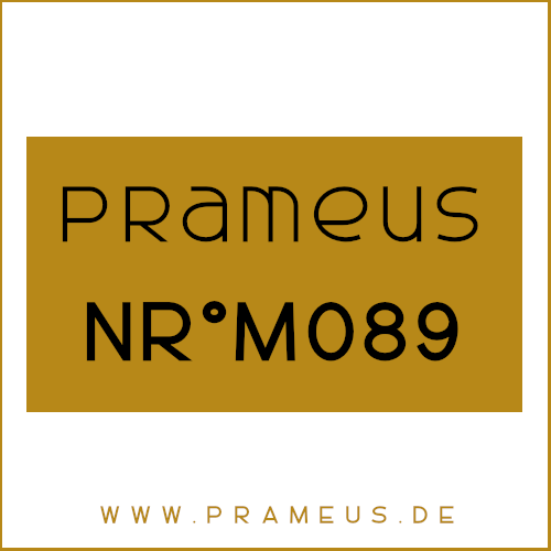 Nr°M089 Inspiriert von: Parfums de Marly - Oajan