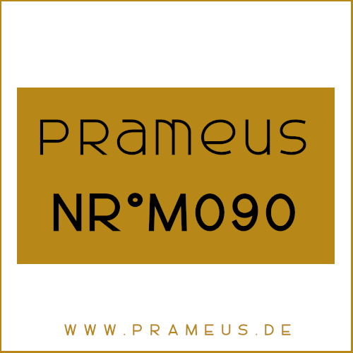 Nr°M090 Inspiriert von: Parfums de Marly - Shagya
