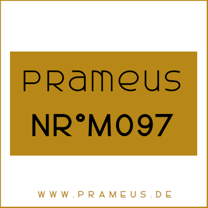 Nr°M097 Inspiriert von: Tom Ford - Noir