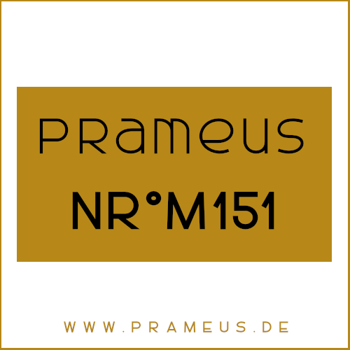 Nr°M151 Inspiriert von: Dior - Oud Rosewood