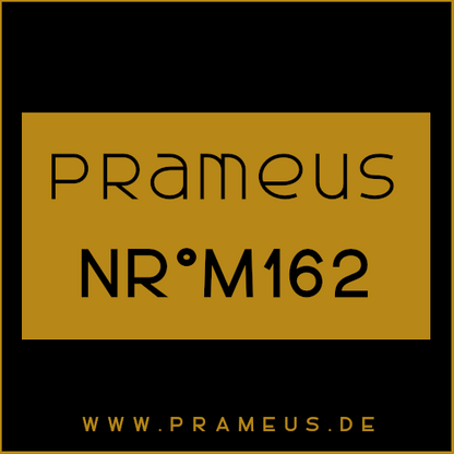 Nr°M162 Inspiriert von: Chanel - Égoiste Platinum