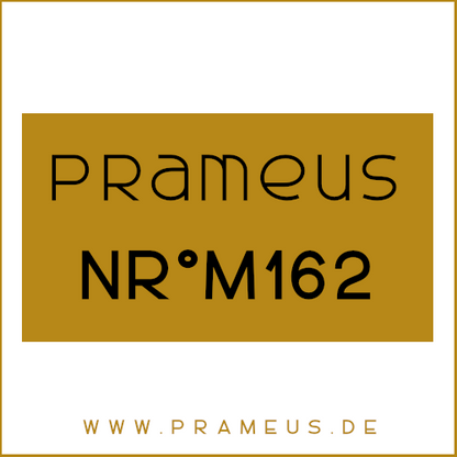 Nr°M162 Inspiriert von: Chanel - Égoiste Platinum