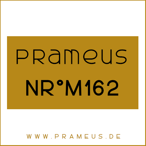 Nr°M162 Inspiriert von: Chanel - Égoiste Platinum