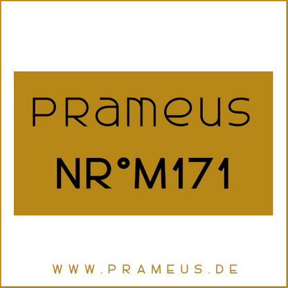 Nr°M171 Inspiriert von: Versace - Pour Homme