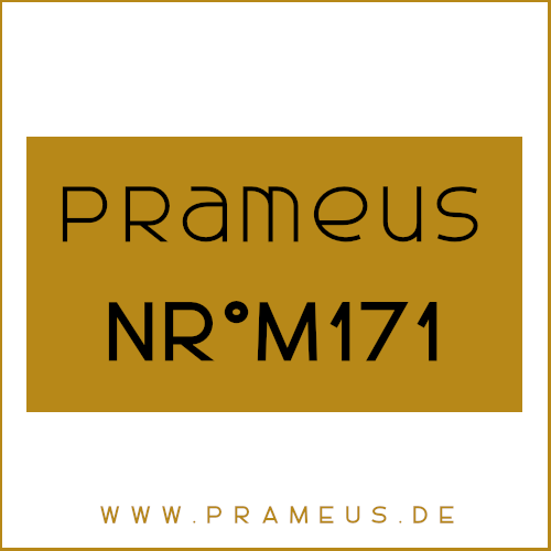 Nr°M171 Inspiriert von: Versace - Pour Homme