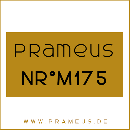 Nr°M175 Inspiriert von: Paco Rabanne - Phantom