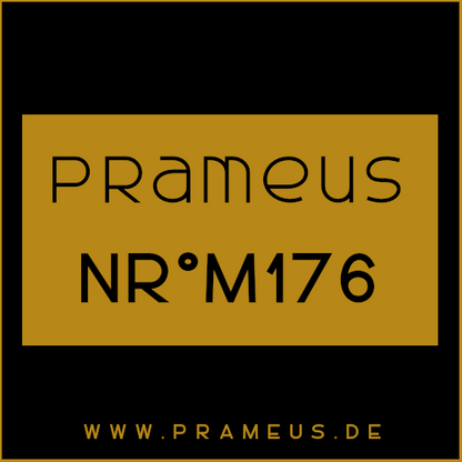 Nr°M176 Inspiriert von: Valentino - Uomo