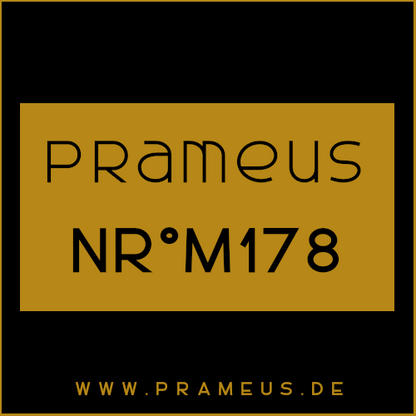 Nr°M178 Inspiriert von: Initio - Side Effect