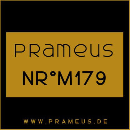 Nr°M179 Inspiriert von: Initio - Oud for Greatness