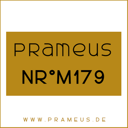 Nr°M179 Inspiriert von: Initio - Oud for Greatness