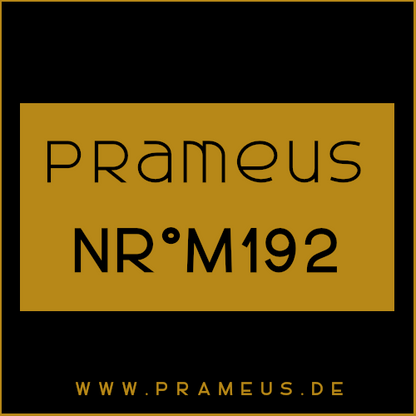 Nr°M192 Inspiriert von: Creed - Viking